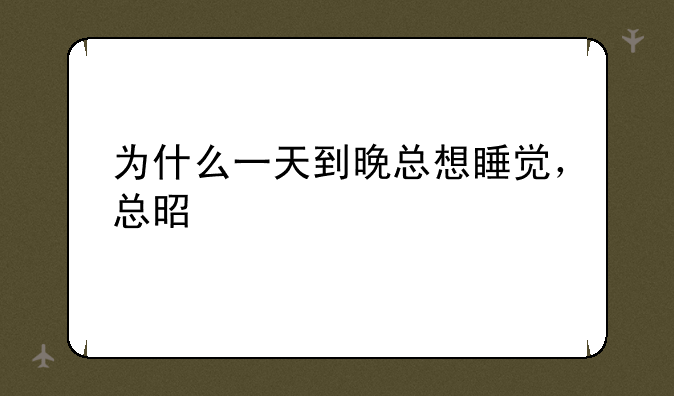 为什么一天到晚总想睡觉，总是没精神