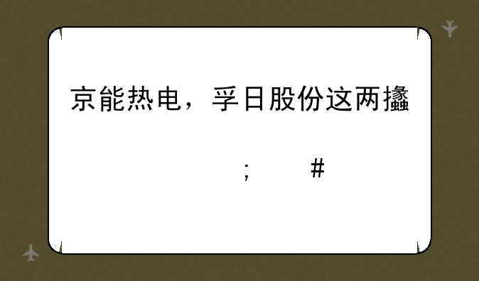 京能热电，孚日股份这两支股票怎么样