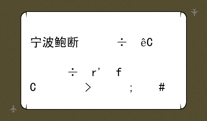 宁波鲍斯能源装备股份有限公司怎么样