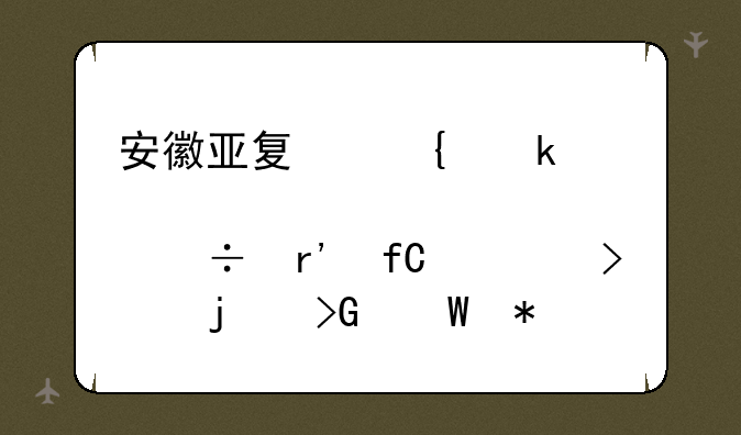 安徽亚夏实业股份有限公司的发展状况