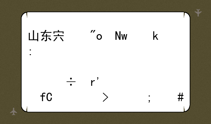 山东宏创铝业控股股份有限公司怎么样