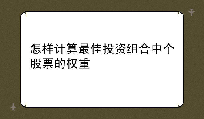 怎样计算最佳投资组合中个股票的权重