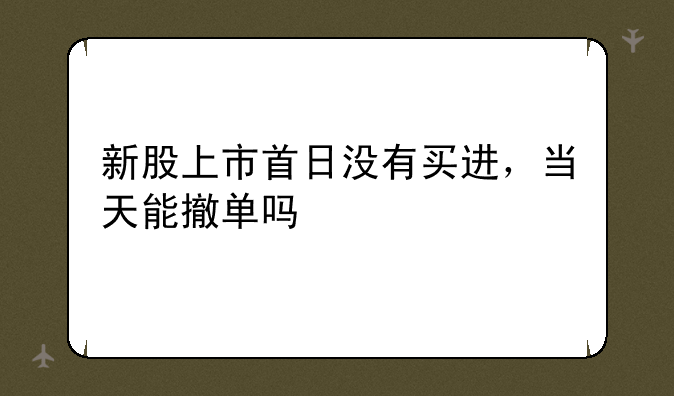 新股上市首日没有买进，当天能撤单吗