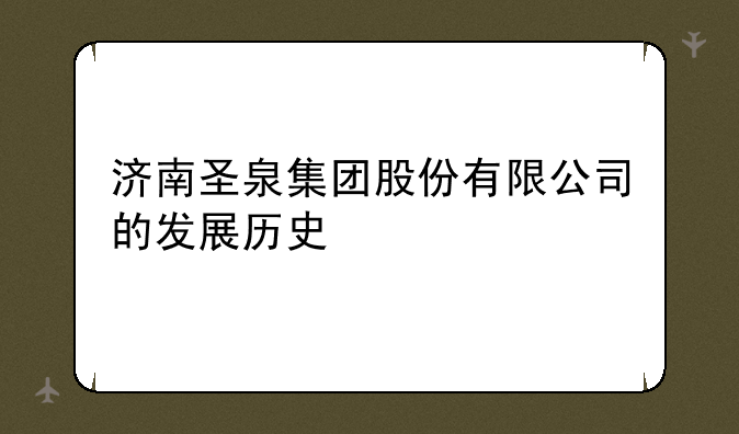 济南圣泉集团股份有限公司的发展历史