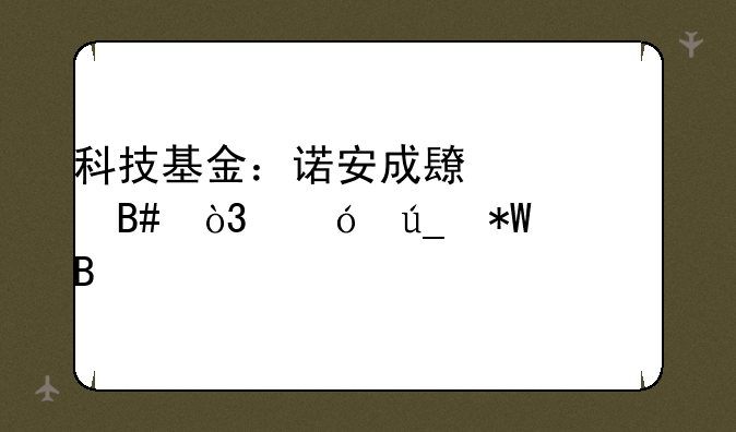 科技基金：诺安成长混合，值得投资吗