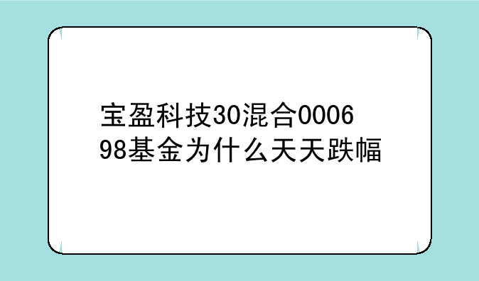 宝盈科技30混合000698基金为什么天天跌幅