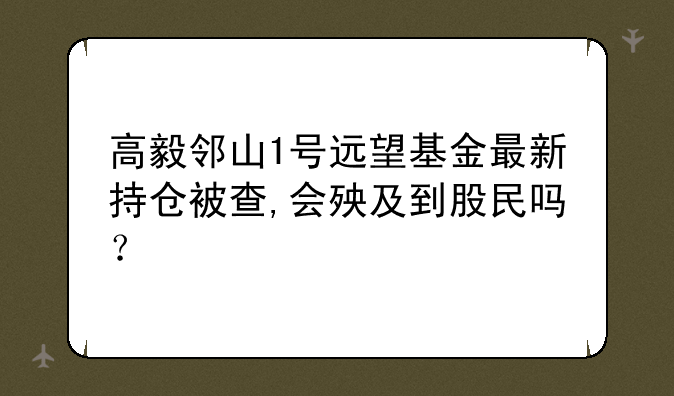 高毅邻山1号远望基金最新持仓被查,会殃及到股民吗？