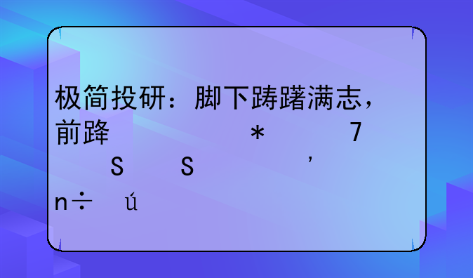 极简投研：脚下踌躇满志，前路激动不已——紫光国微