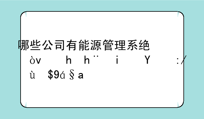 哪些公司有能源管理系统？要技术比较成熟的