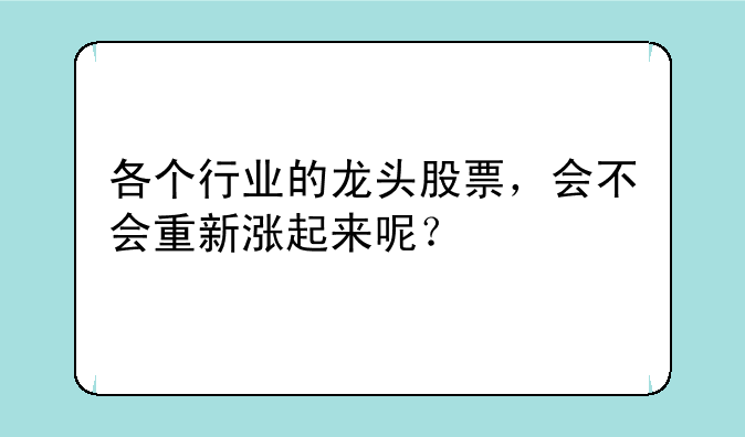 各个行业的龙头股票，会不会重新涨起来呢？