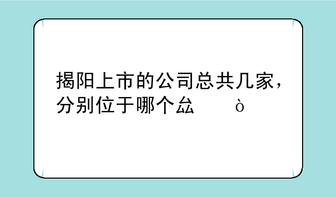 揭阳上市的公司总共几家，分别位于哪个县？