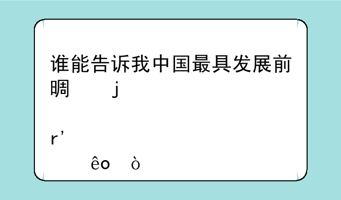 谁能告诉我中国最具发展前景的股票有那些？