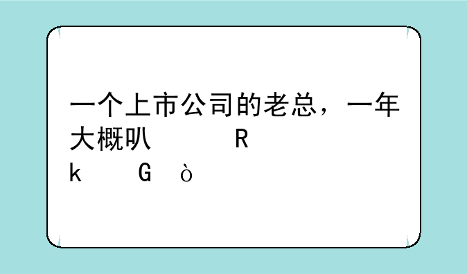 一个上市公司的老总，一年大概可以收入多少？