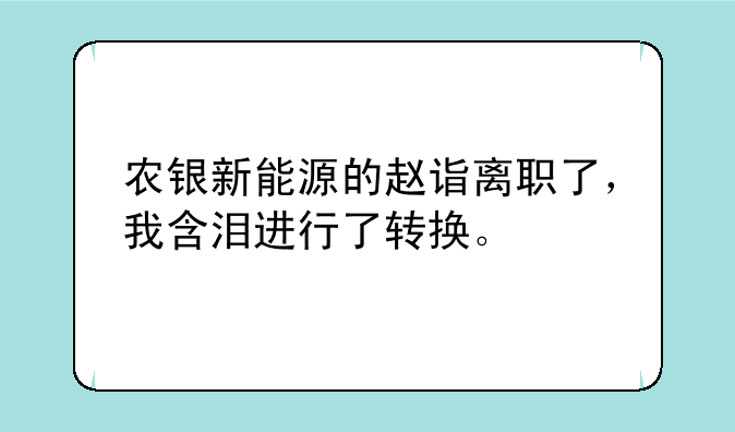 农银新能源的赵诣离职了，我含泪进行了转换。