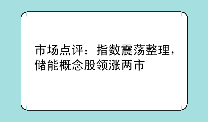 市场点评：指数震荡整理，储能概念股领涨两市