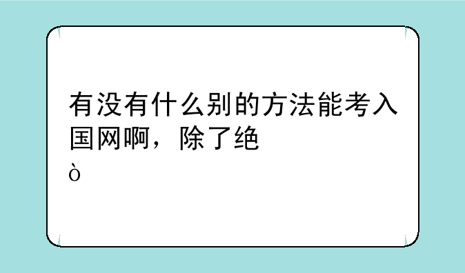 有没有什么别的方法能考入国网啊，除了统考？