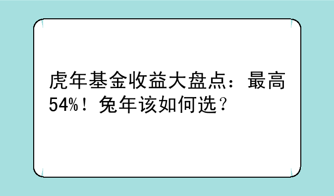 虎年基金收益大盘点：最高54%！兔年该如何选？