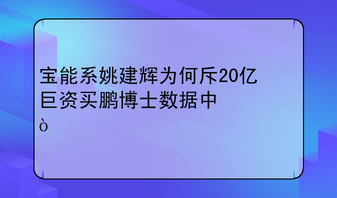 宝能系姚建辉为何斥20亿巨资买鹏博士数据中心？