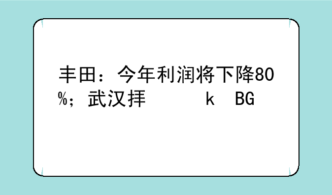 丰田：今年利润将下降80%；武汉拟定向扶持东风集团