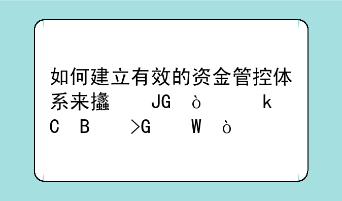 如何建立有效的资金管控体系来支撑企业运营发展？