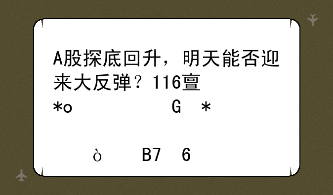 A股探底回升，明天能否迎来大反弹？116亿主力资金抢筹46股！名单