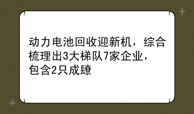 动力电池回收迎新机，综合梳理出3大梯队7家企业，包含2只成长股