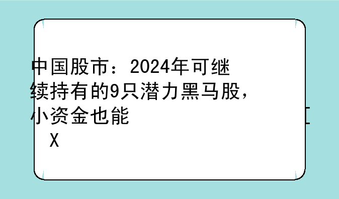 中国股市：2024年可继续持有的9只潜力黑马股，小资金也能快速翻倍