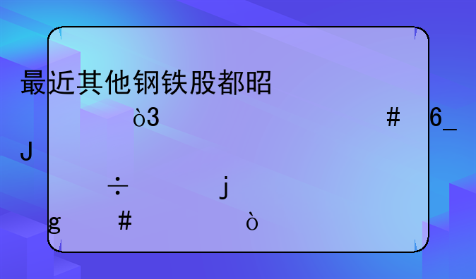 最近其他钢铁股都是大涨，为什么南钢股份涨的这么慢？