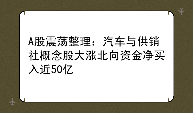 A股震荡整理：汽车与供销社概念股大涨北向资金净买入近50亿