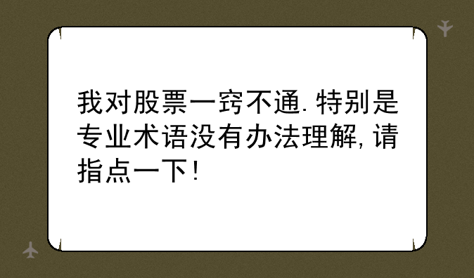 我对股票一窍不通.特别是专业术语没有办法理解,请指点一下!