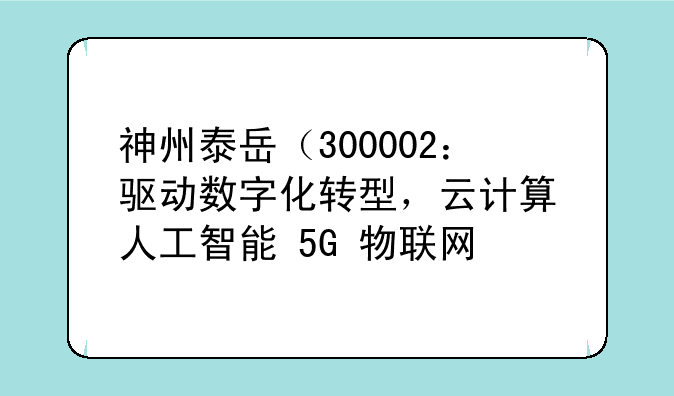 神州泰岳（300002：驱动数字化转型，云计算+人工智能+5G+物联网