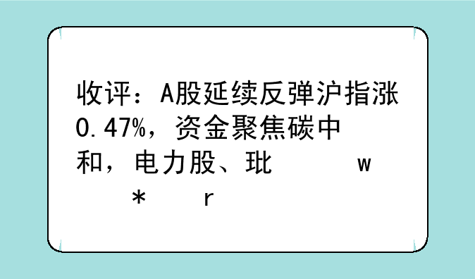 收评：A股延续反弹沪指涨0.47%，资金聚焦碳中和，电力股、环保股抢眼