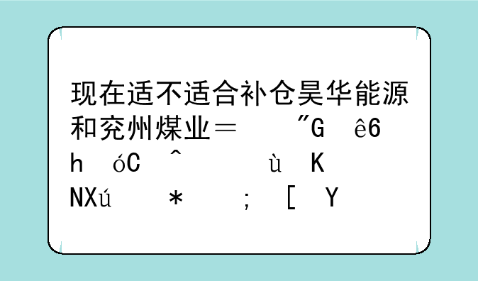 现在适不适合补仓昊华能源和兖州煤业？我亏损40%，这两只股能长期持有吗