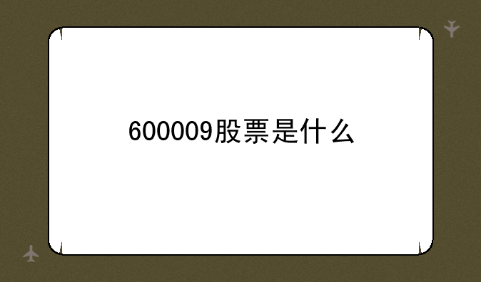 600009股票是什么