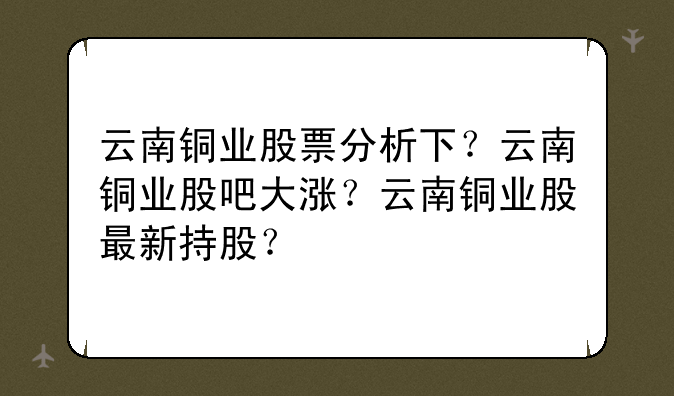 云南铜业股票分析下？云南铜业股吧大涨？云南铜业股最新持股？